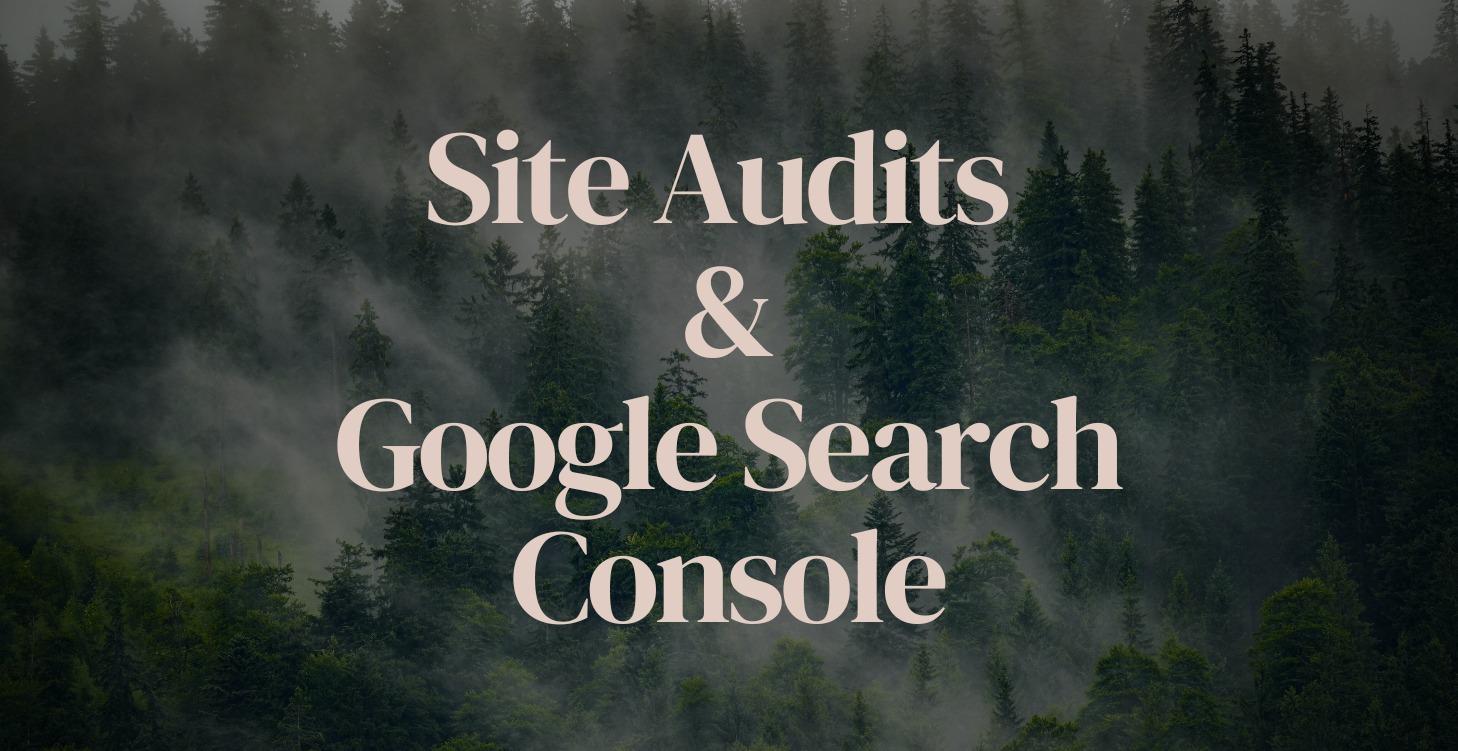 Final Site Audits & Google Search Console