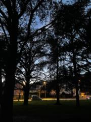 Erdenejargal Tugsjargal