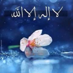 MD Mahdin Shafin
