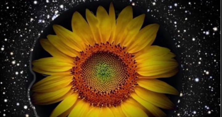 Mental Health Matters 