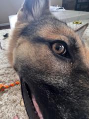 Leyton Kincaid