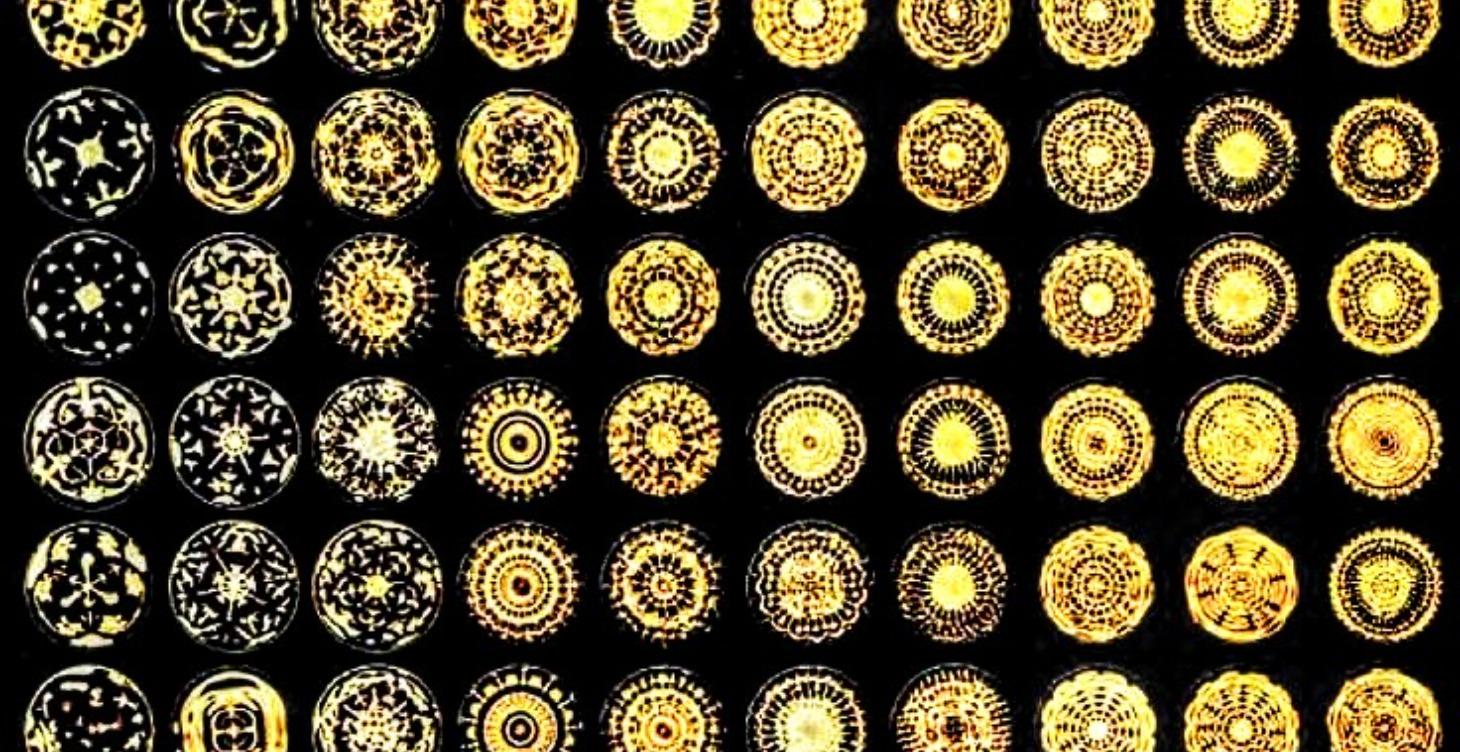 K.O.L Resonance System