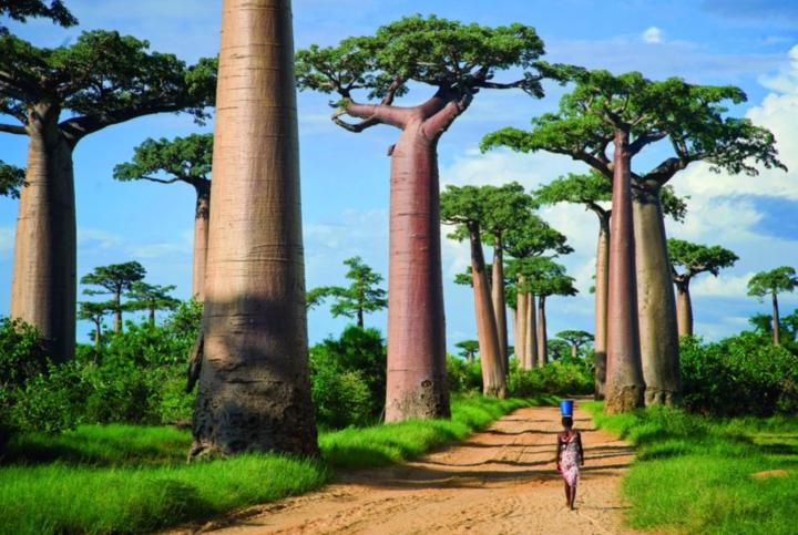 Ouri Diallo