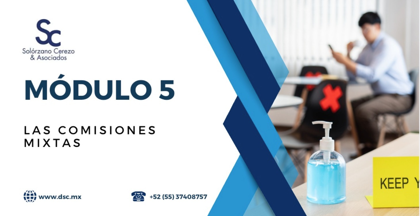 Las Comisiones Mixtas