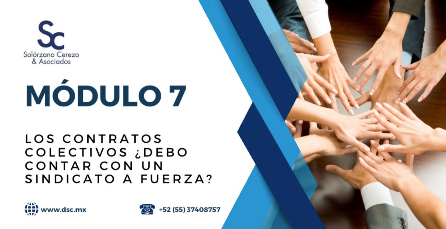 Los contratos colectivos