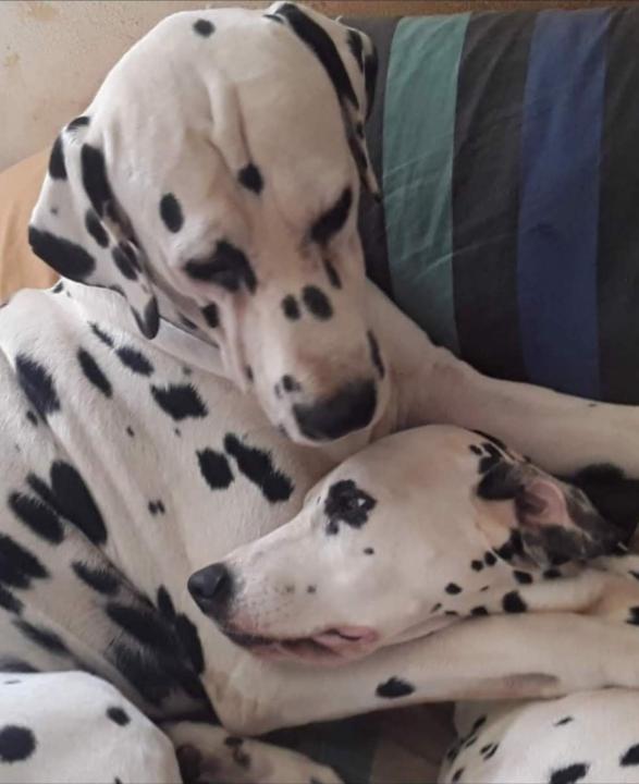 Christophe Toucheboeuf