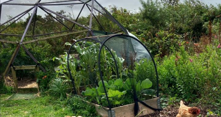 Harmony Permaculture