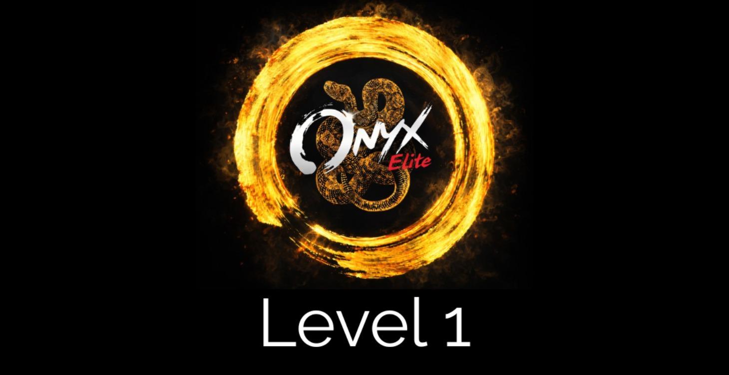 Level 1 -🔺The Initiate