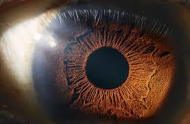 Ocular Belt of Tension - Seeing Clearly 