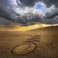 The Brain 🧠 Thrives on Surprise