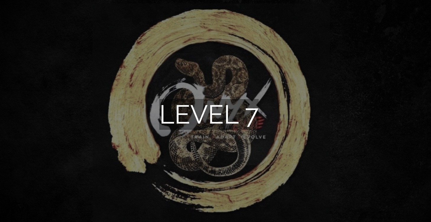 Onyx Elite Performance - Level 7