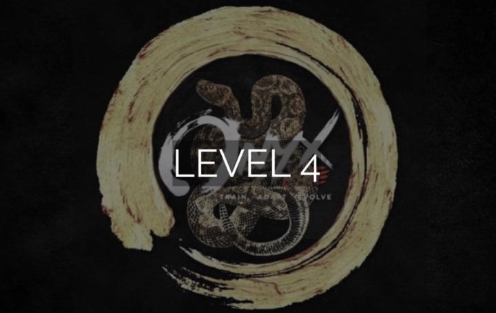 Level 4 : Loading …..