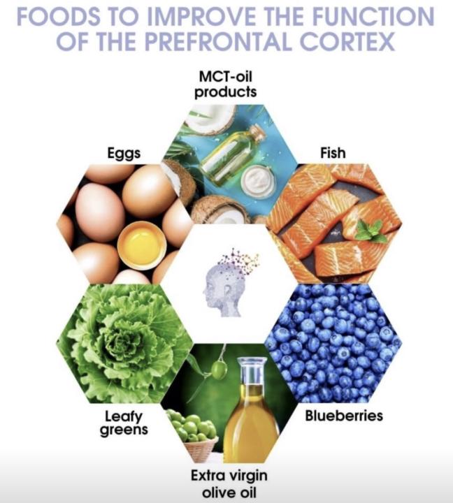 The Prefrontal Cortex