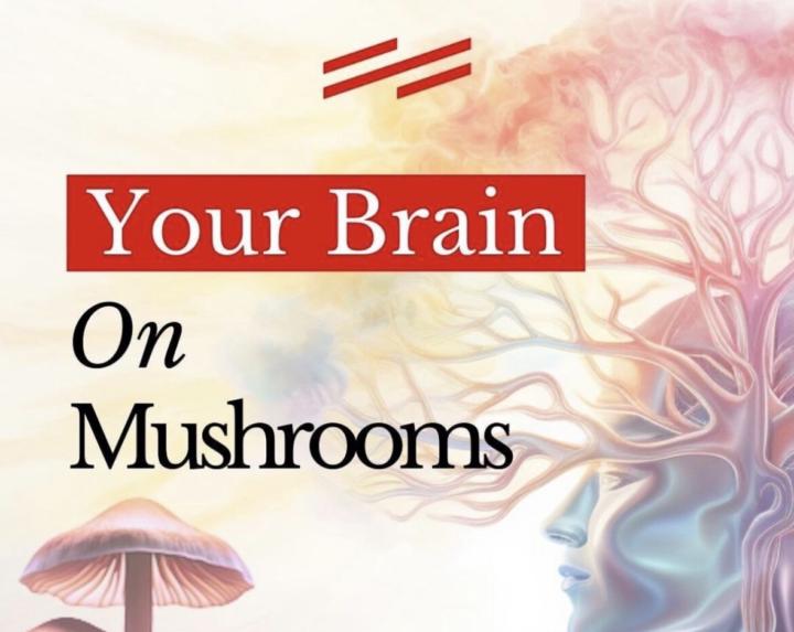 HOW PSYCHEDELICS FUNCTION THERAPEUTICALLY