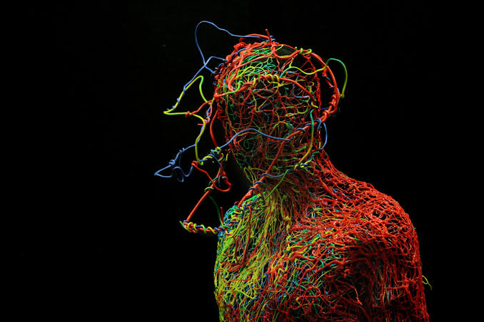 Myers Briggs Personality Test🪞