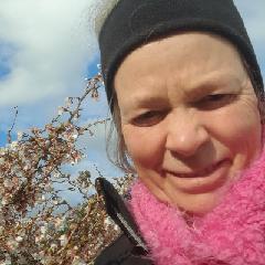 Birgitte Mogensen