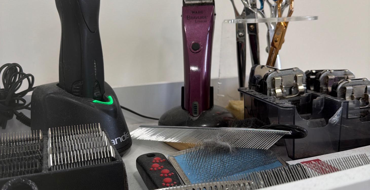 Intro to grooming tools