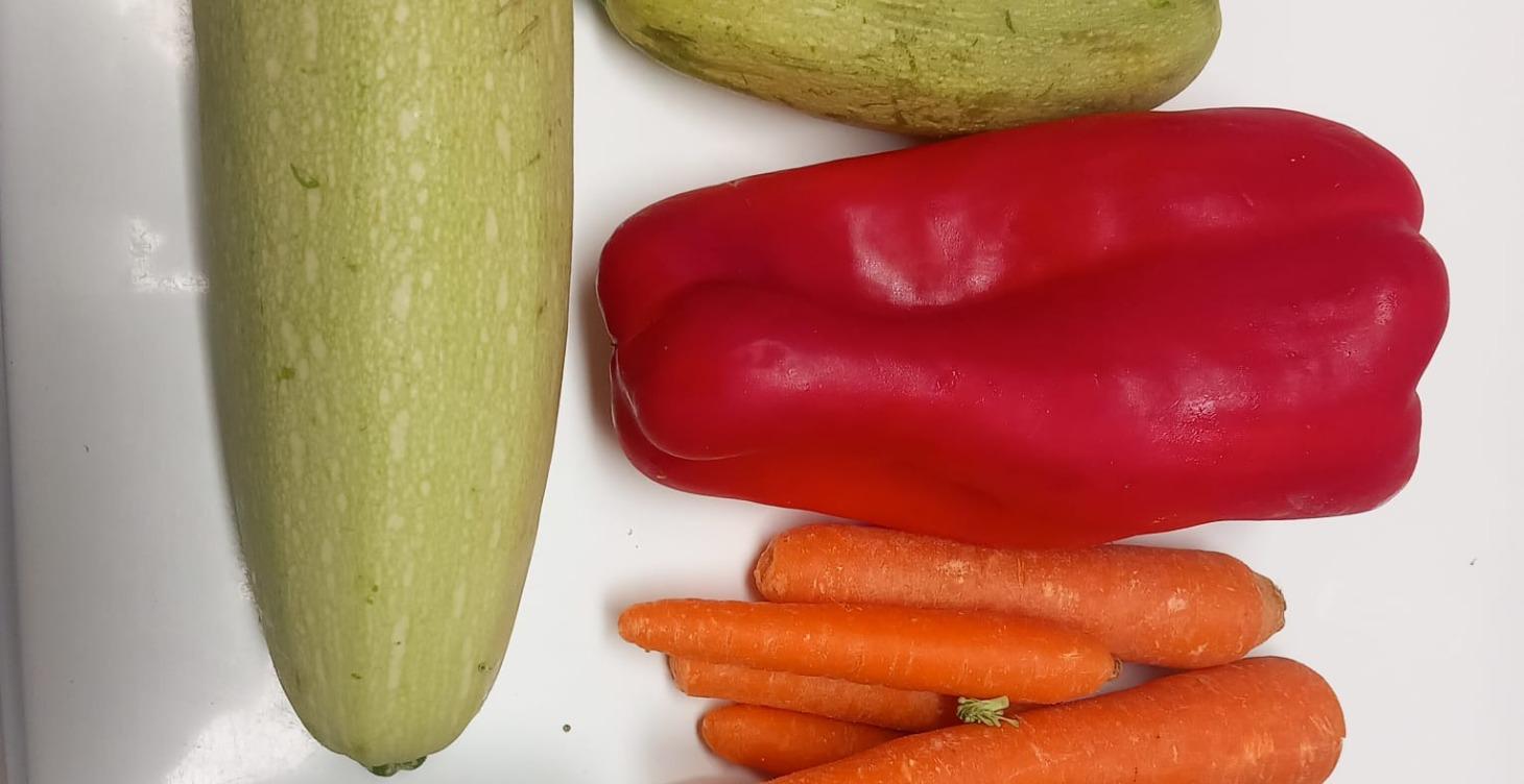 alimentacion
