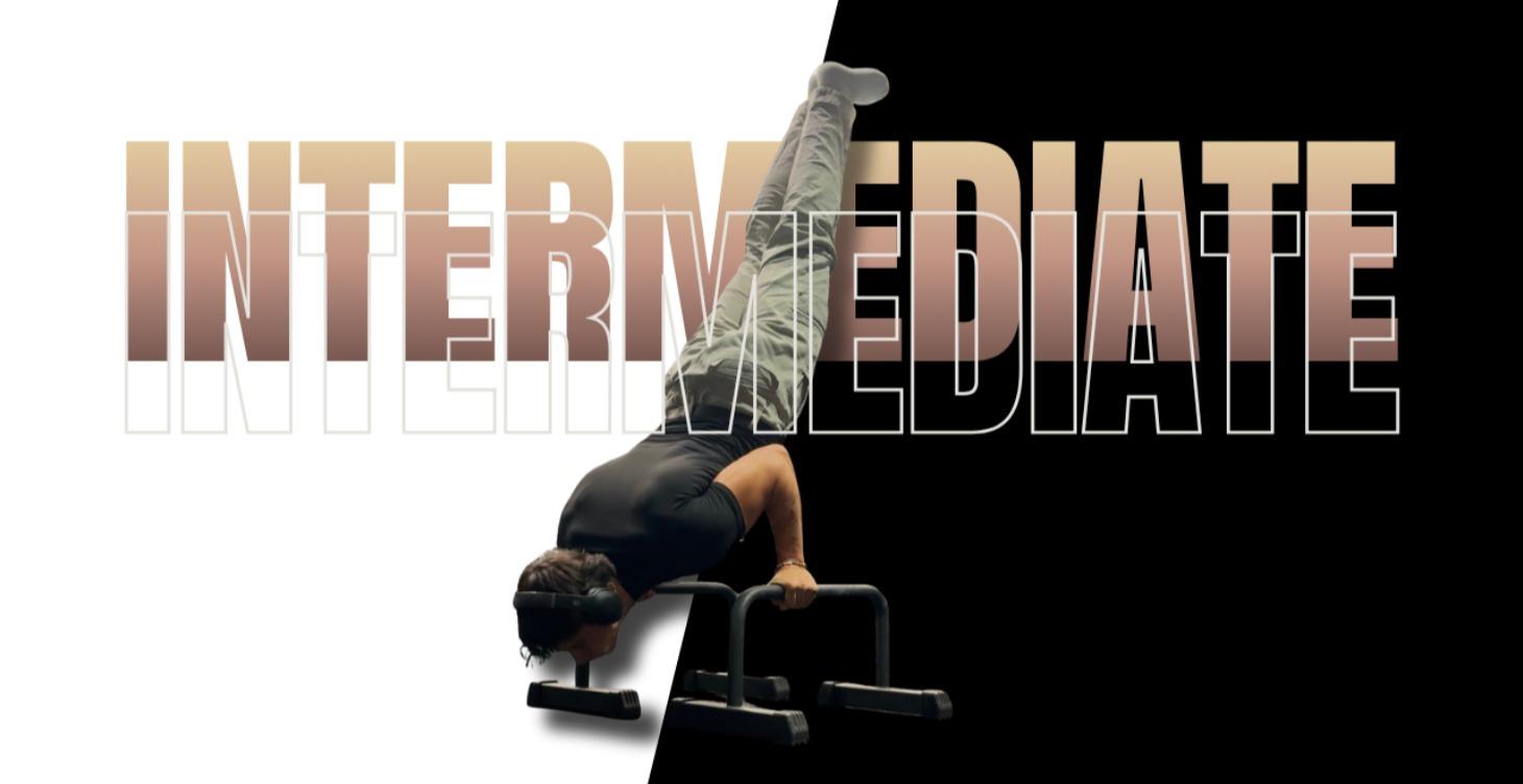 INTERMEDIATE