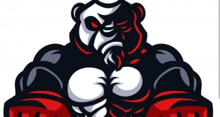 Big Panda MMA