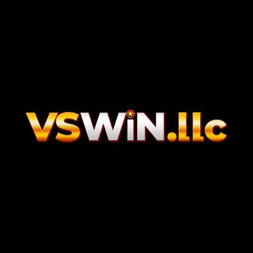 VSWin Llc