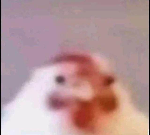 Z J