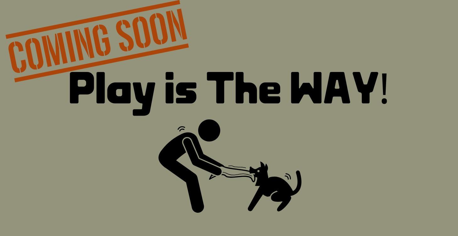 Play Is The Way!