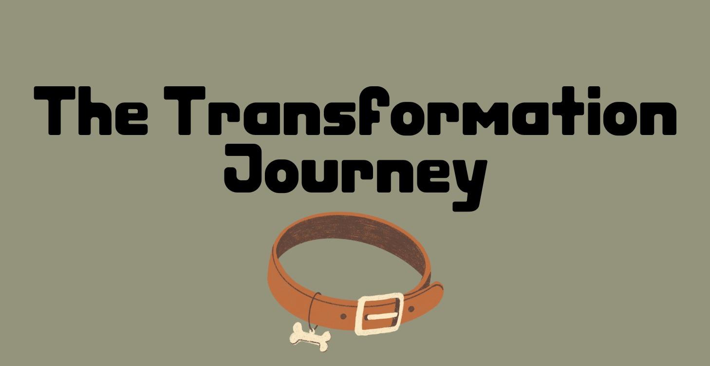 The Transformation Journey