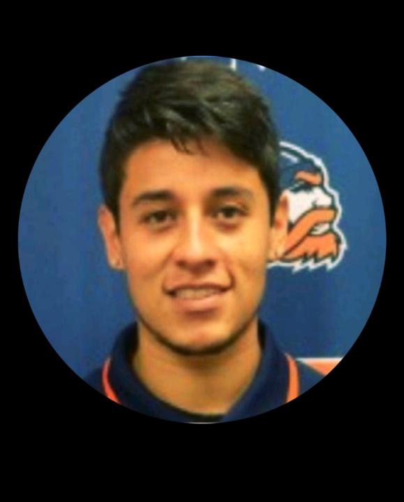 Nicolas Arguello torres