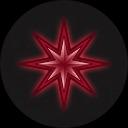 Savvy Travelers icon