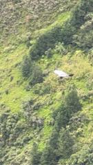 Jose Luis Contreras Marin