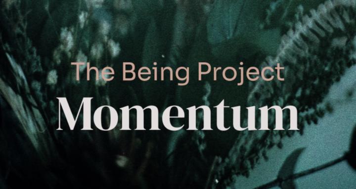 The Being Project : Momentum 