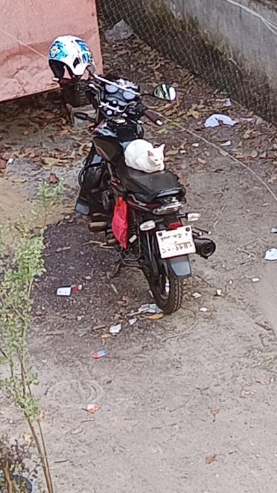 Murshida Ferdous Mim