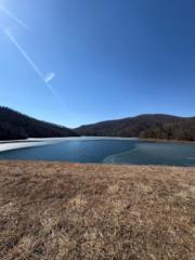 LaRisa Jackson-Sweezy