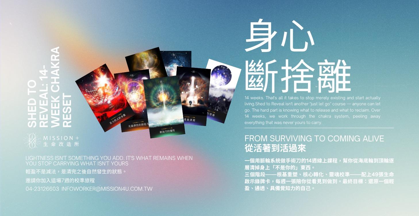 身心斷捨離:14週能量校準旅程