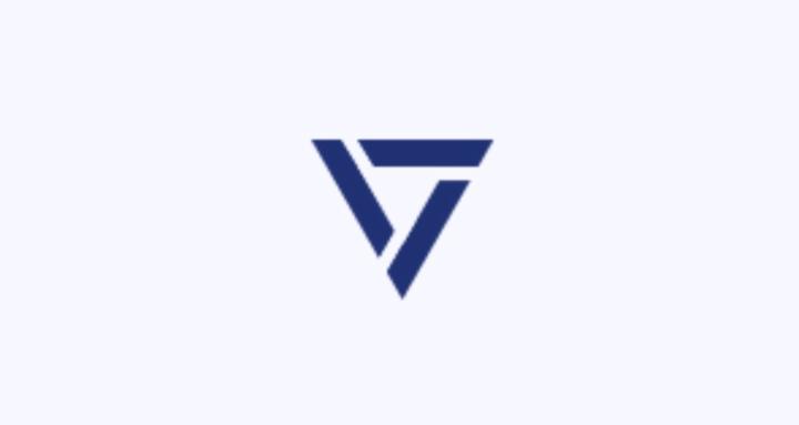 VFG PERFORMANCE