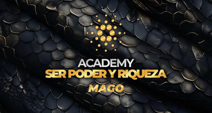 Academy Ser Poder y Riqueza