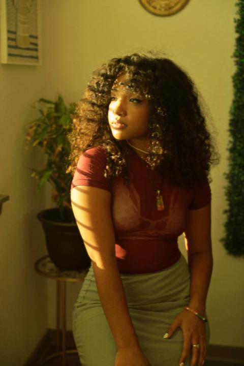Shakira Beltre