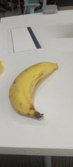 Adapon Songkadi