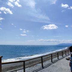 Diana CUNDUMi Racines