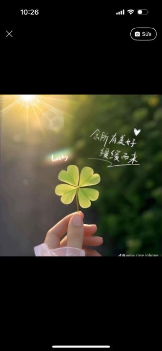 Nguyễn Hương Hương