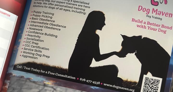 Dog Maven Dog Training