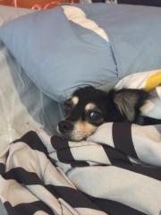 Megan Gutiérrez Martínez