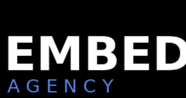 Embedded Agency Model