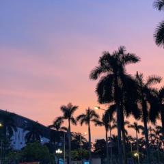 Hong Nhung