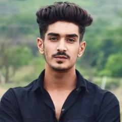 Zayn Ali