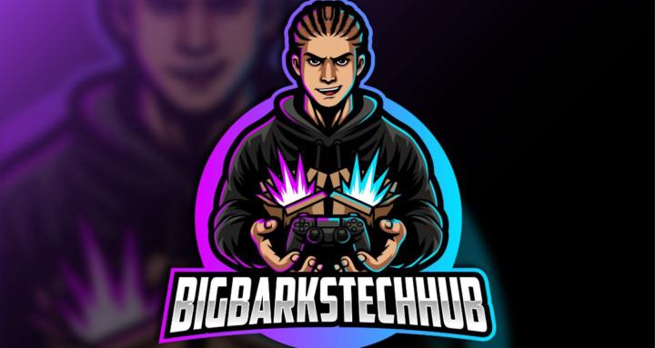 Bigbarkstechhub