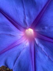 Katalin Szendrői-Áts