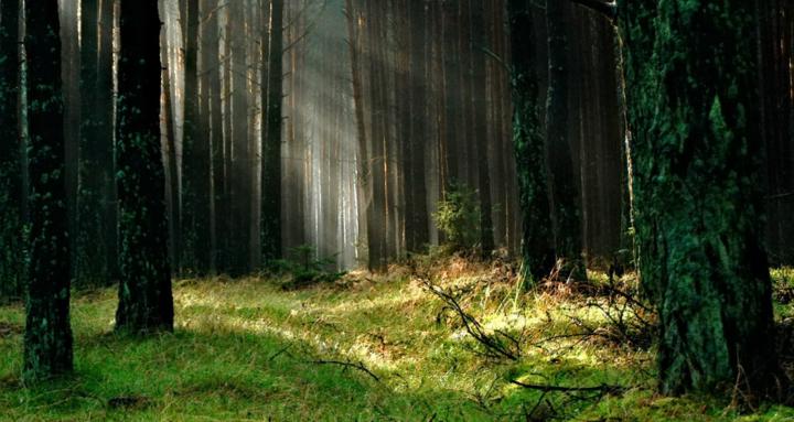 Climate Tech Founders