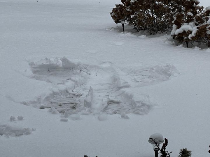 Snow Angel